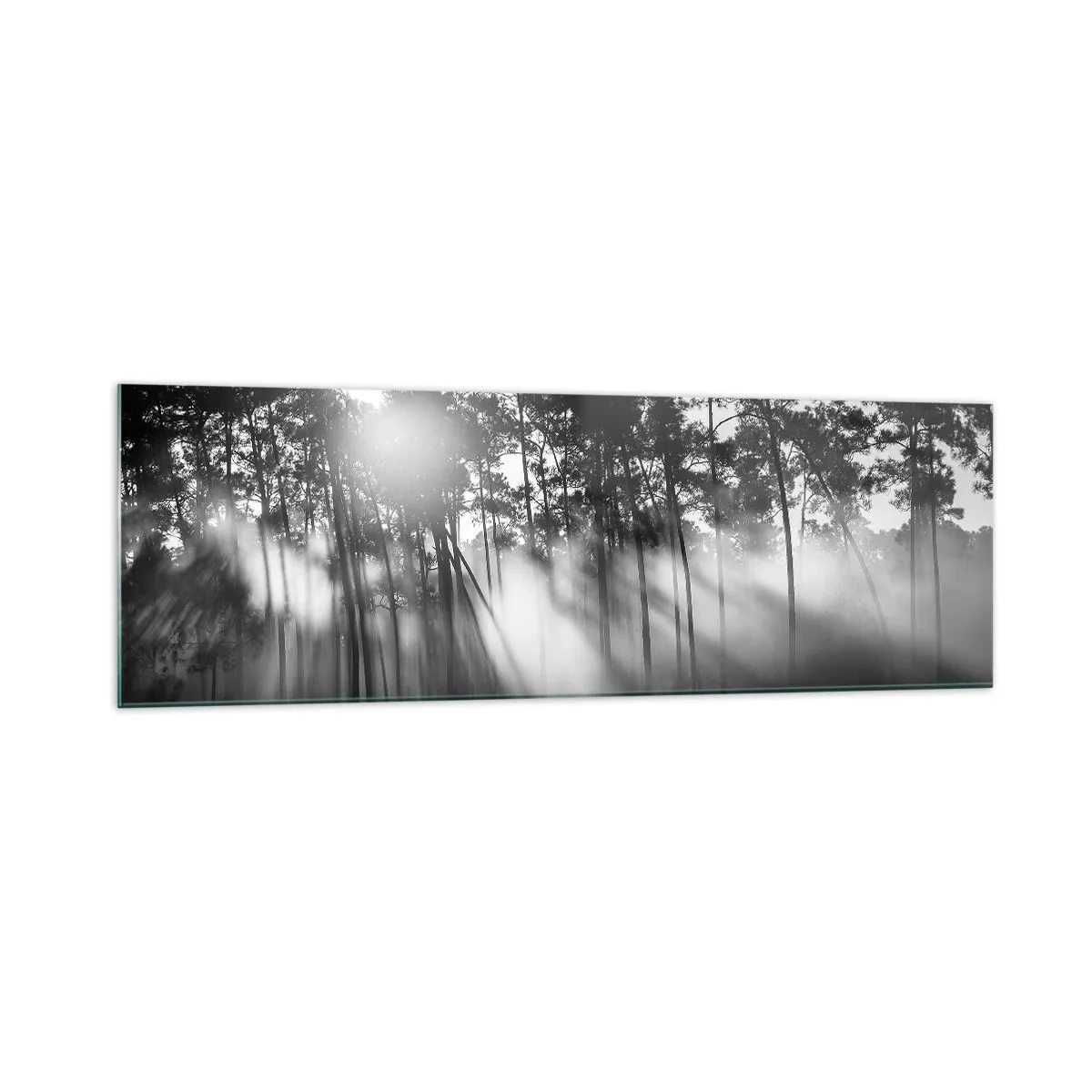 Impression sur verre - Image sur verre - Forêt noire et blanche dans le brouillard du matin - 160x50cm - Soleil inarrêtable - Décoration murale moderne pour le salon et la chambre ARTTOR