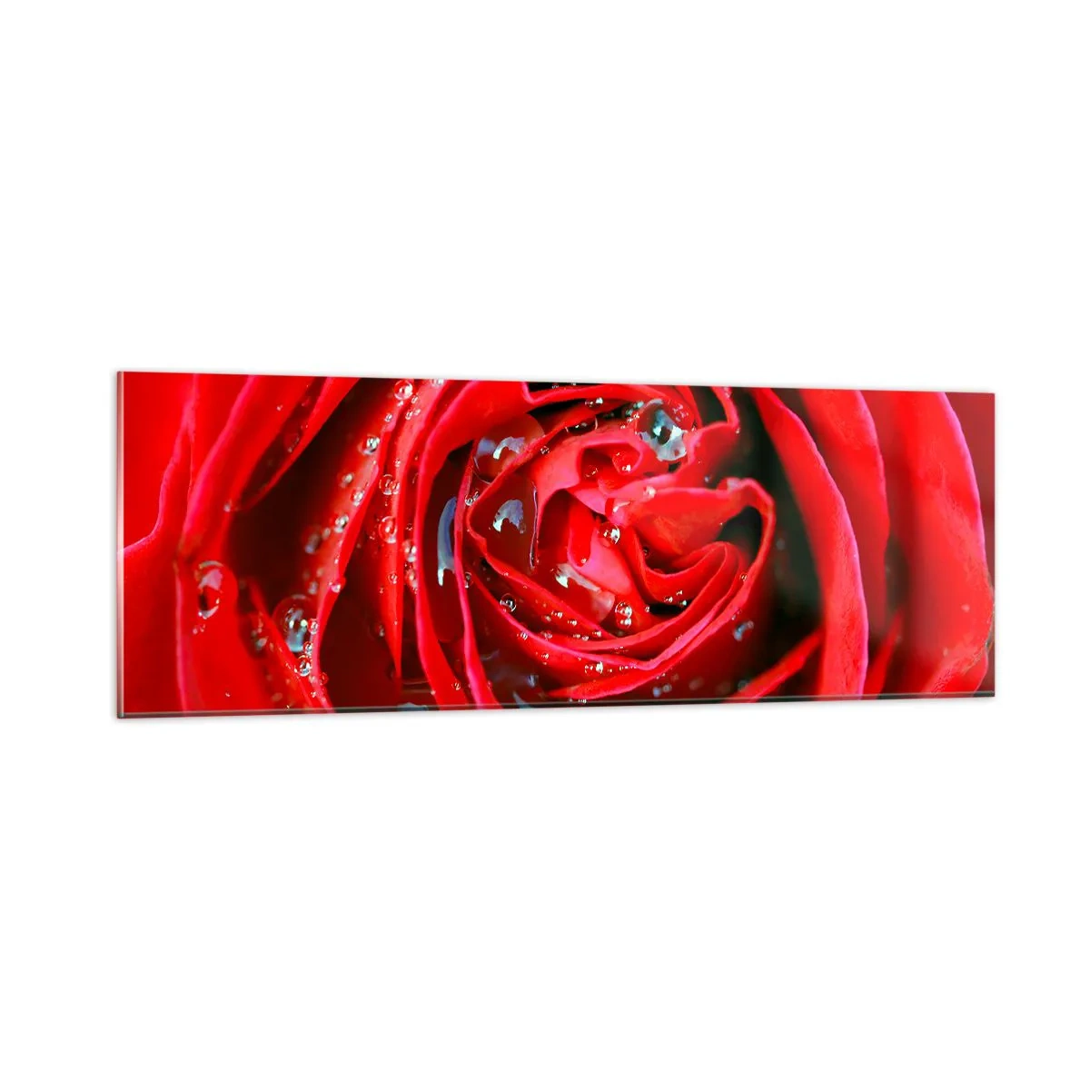 Impression sur verre - Image sur verre - Dans les gouttes de rosée - 90x30 cm