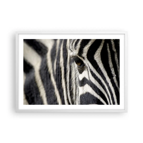 Affiche dans un cadre blanc - Poster - Portrait en rayure - 70x50 cm