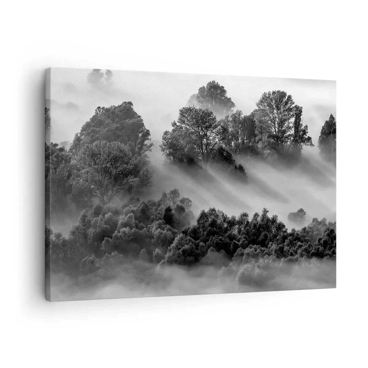 Impression sur toile - Image sur toile - Paysage forestier noir et blanc dans le brouillard du matin - 70x50cm - Sortir de son sommeil - Décoration murale moderne pour le salon et la chambre ARTTOR