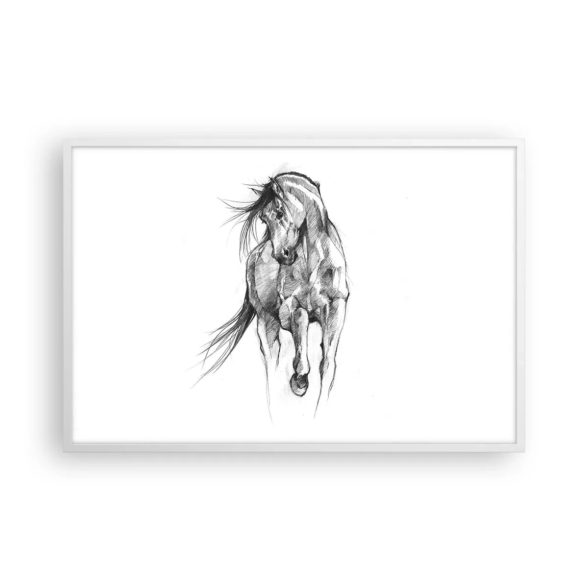 Affiche dans un cadre blanc - Poster - D'un trot gracieux - 91x61 cm