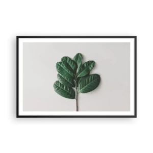 Affiche dans un cadre noir - Poster - Dessin de la nature elle-même - 91x61 cm