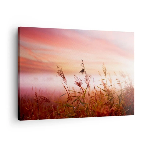 Impression sur toile - Image sur toile - Un champ d'herbe sur fond de coucher de soleil pittoresque - 70x50cm - Cerfs-volants, pissenlits, vent - Décoration murale moderne pour le salon et la chambre ARTTOR