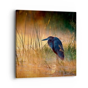 Impression sur toile - Image sur toile - Allez, laissez-moi en paix avec ces photos - 40x40 cm