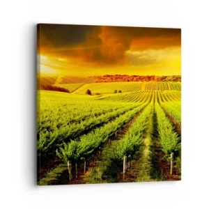 Impression sur toile - Image sur toile - Sous le soleil australien - 30x30 cm