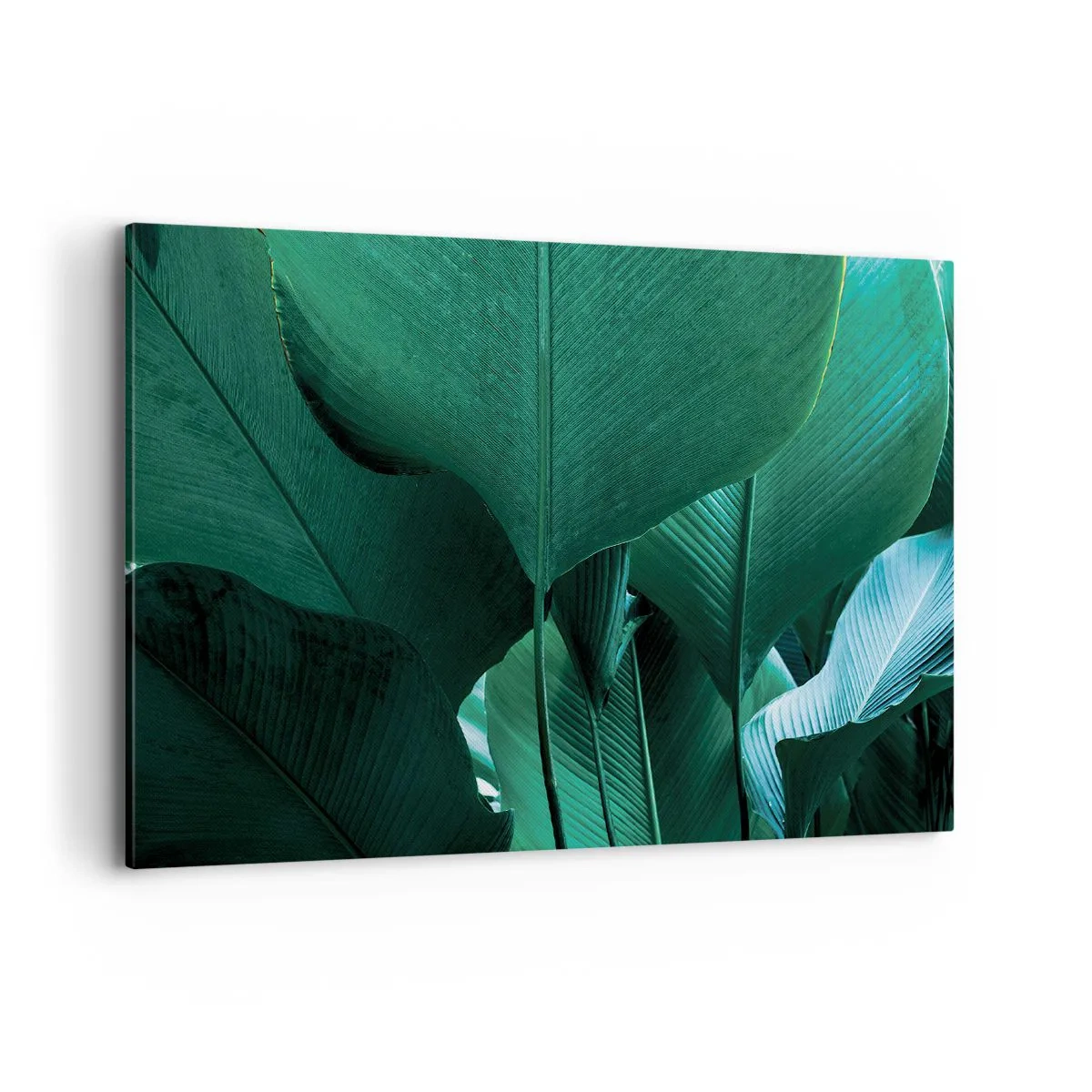 Impression sur toile - Image sur toile - Feuilles vertes dans une composition minimaliste - 100x70cm - Tourné vers la lumière - Décoration murale moderne pour le salon et la chambre ARTTOR