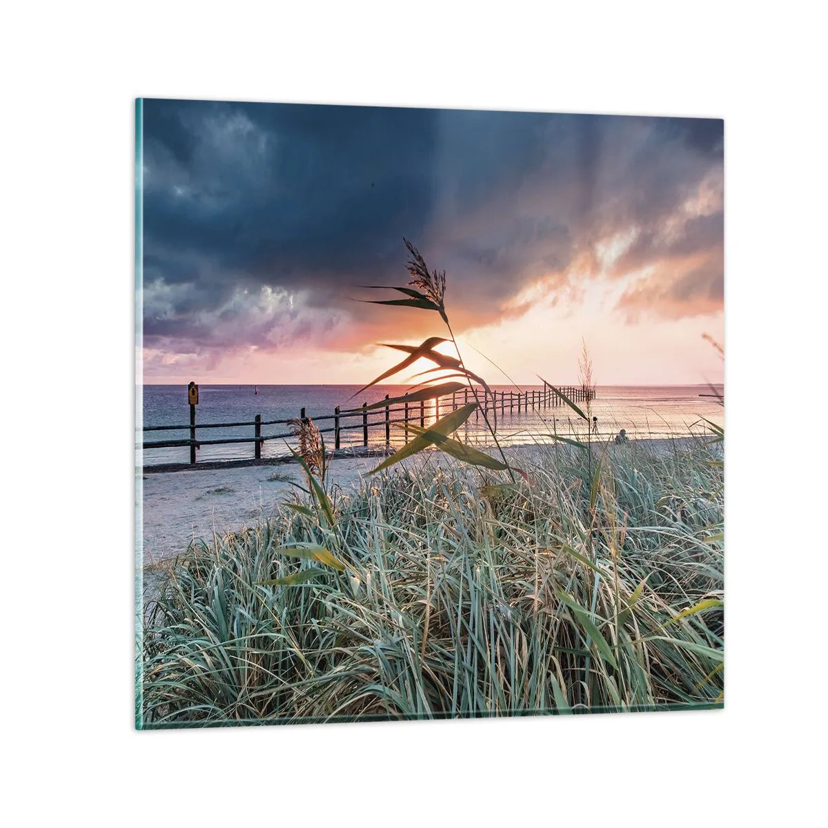 Impression sur verre - Image sur verre - Ça ne passe pas avec le vent - 50x50 cm