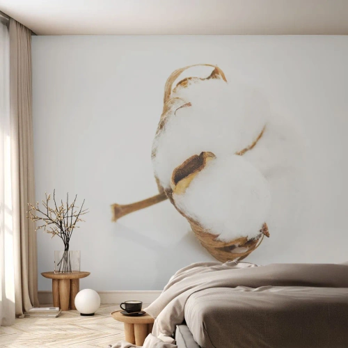 Papier Peint Autocollant Deluxe Sticker - Doux par nature - Coton, Minimaliste, Fleur - 150x105 cm
