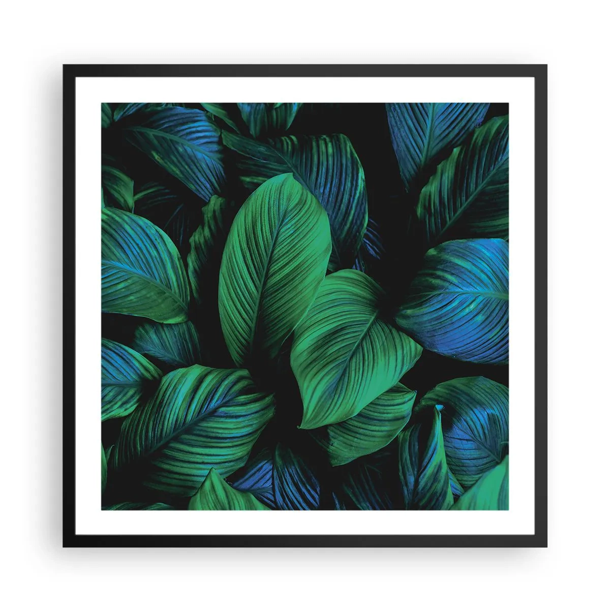Affiche dans un cadre noir - Poster - Dans la foule verte - 60x60 cm