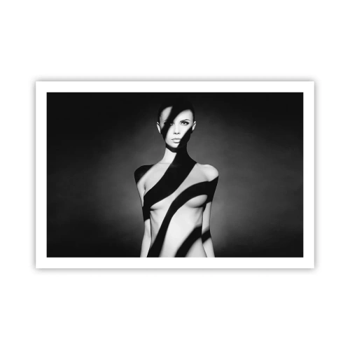 Affiche - Poster - Dans la brillance et l'ombre - 91x61 cm