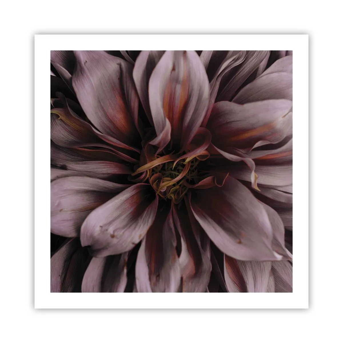 Affiche - Poster - Un coeur fleuri - 60x60 cm