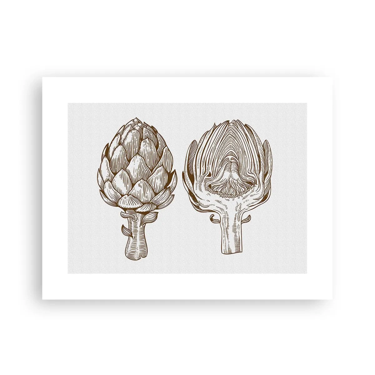 Affiche - Poster - Leçon d’anatomie - 40x30 cm