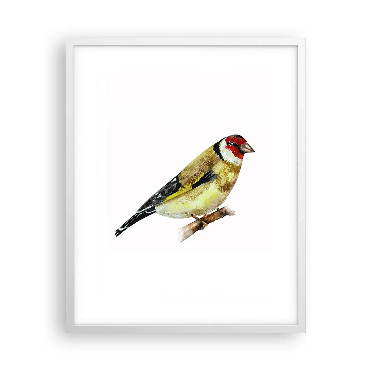 Affiche dans un cadre blanc - Poster - Portrait d'oiseau - 40x50 cm