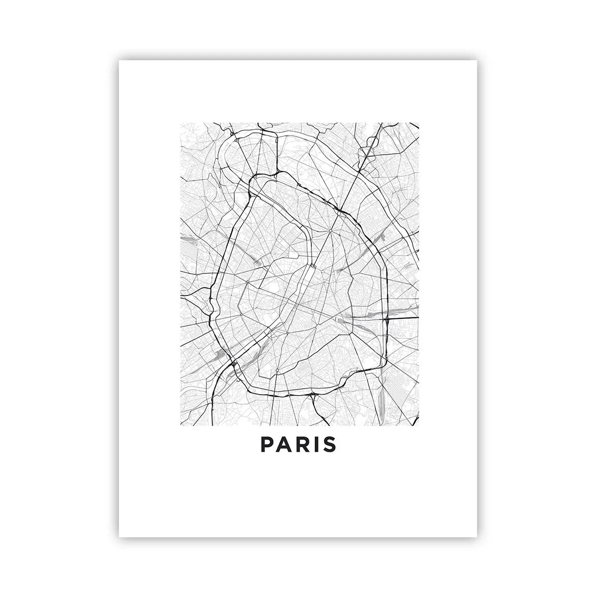 Affiche - Poster - Fleur de Paris - 30x40 cm