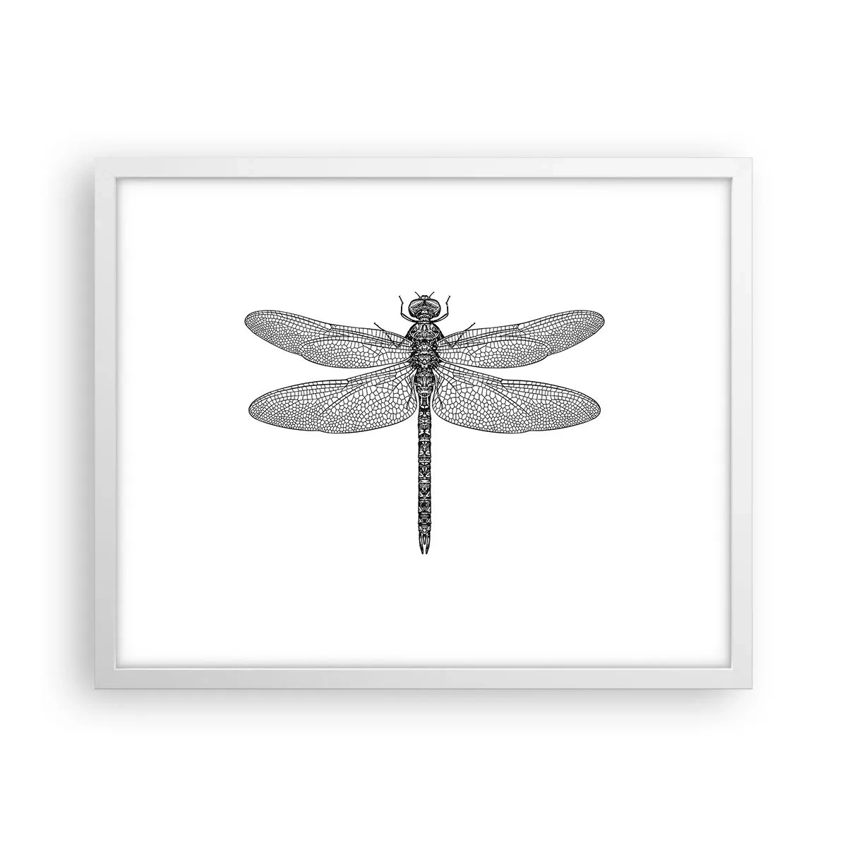 Affiche dans un cadre blanc - Poster - Précision de la nature - 50x40 cm