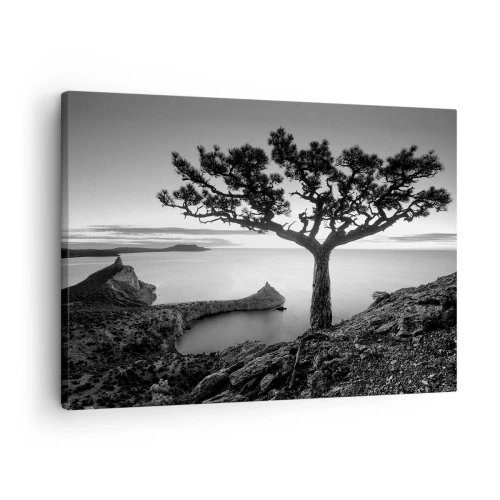 Impression sur toile - Image sur toile - Paysage noir et blanc avec un arbre solitaire sur une falaise au-dessus de la mer - 70x50cm - Paix jusqu'à l'horizon - Décoration murale moderne pour le salon et la chambre ARTTOR