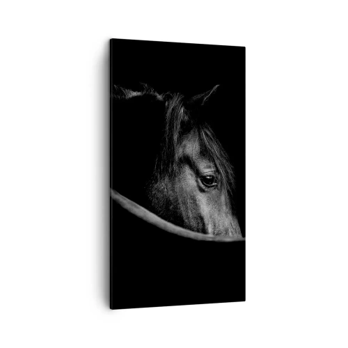 Impression sur toile - Image sur toile - Prince Noir - 45x80 cm