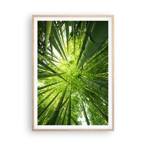 Affiche dans un chêne clair - Poster - Dans une bambouseraie - 70x100 cm