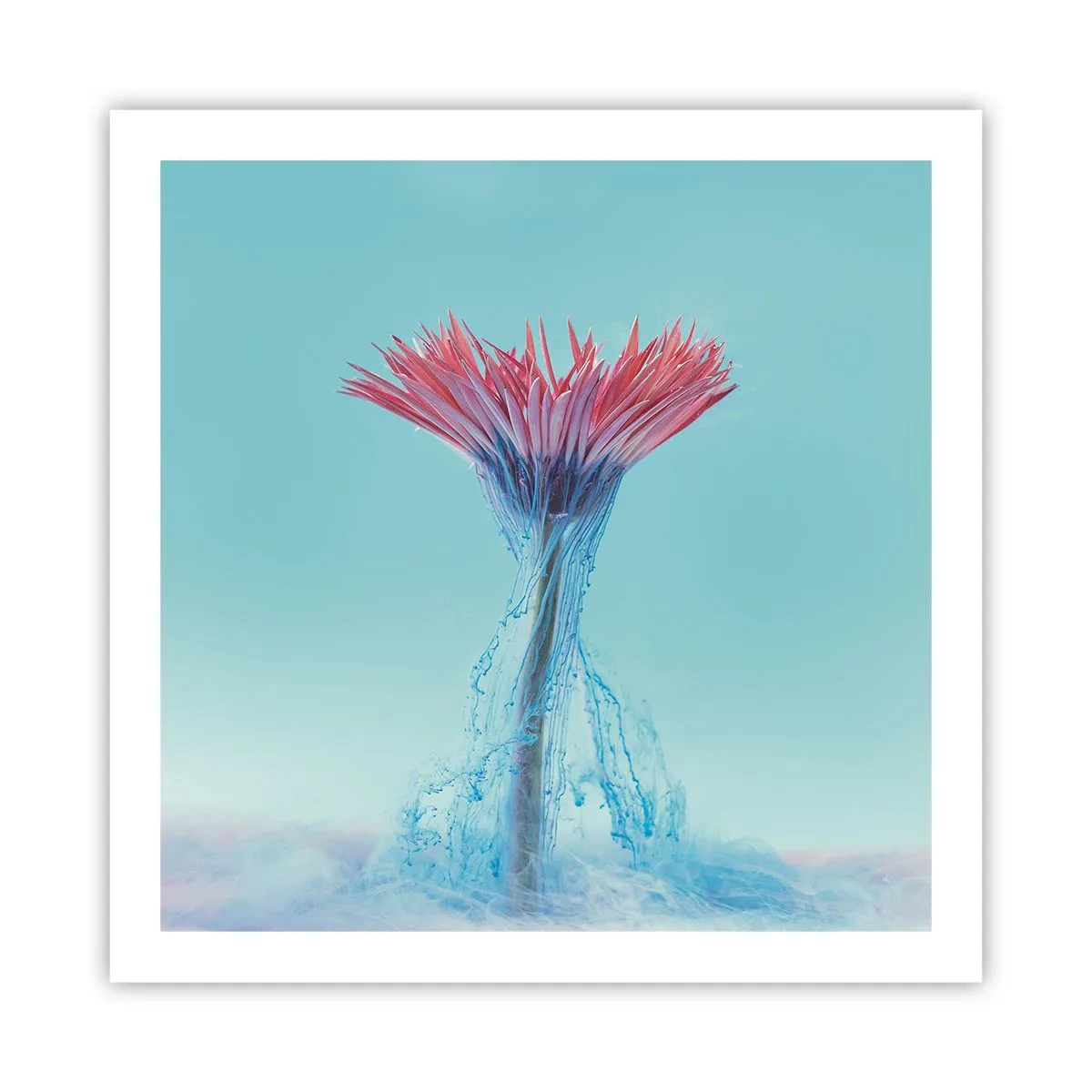 Affiche - Poster - Dans une étreinte vivifiante - 60x60 cm