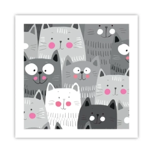 Affiche - Poster - Le monde des chats - 50x50 cm