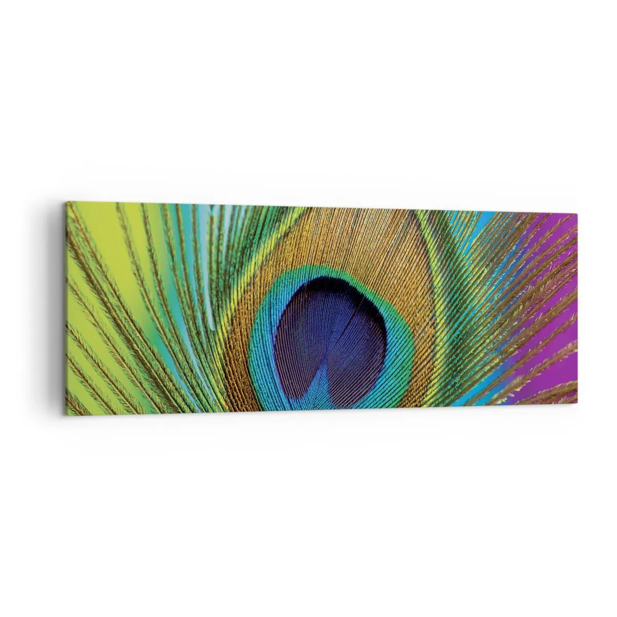 Impression sur toile - Image sur toile - Gros plan d'une plume de paon aux couleurs vives - 140x50cm - Les yeux dans les yeux - Décoration murale moderne pour le salon et la chambre ARTTOR