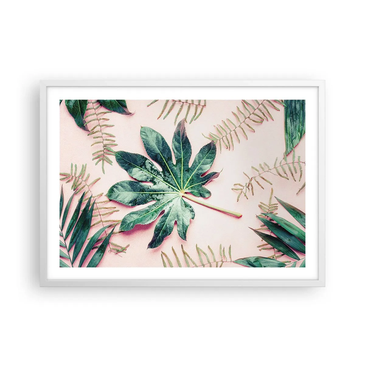 Affiche dans un cadre blanc - Poster - Étude de verdure sur fond rose - 70x50 cm