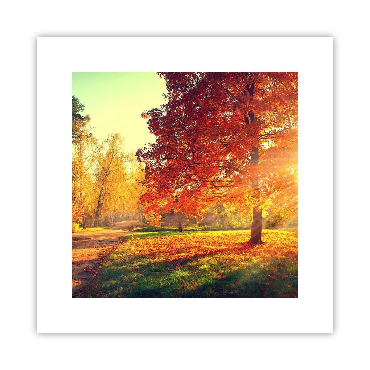 Affiche - Poster - Le roux est beau - 30x30 cm