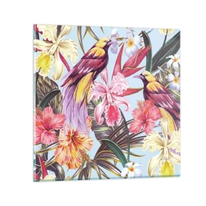 Impression sur verre - Image sur verre - Pétales et plumes - 40x40 cm