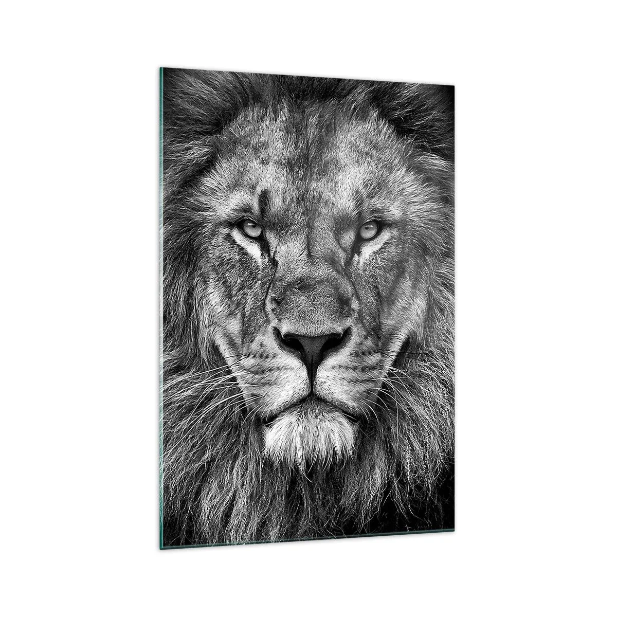 Impression sur verre - Image sur verre - Portrait d'un lion majestueux en noir et blanc - 70x100cm - En vêtement de sacre - Décoration murale moderne pour le salon et la chambre ARTTOR
