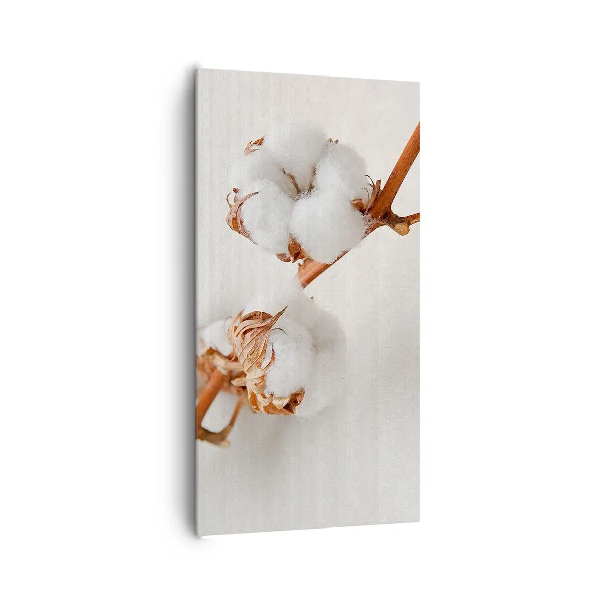 Impression sur toile - Image sur toile - Seulement caliner - 65x120 cm