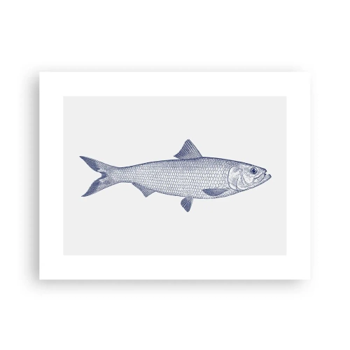 Affiche - Poster - Salutations des mers du nord - 40x30 cm