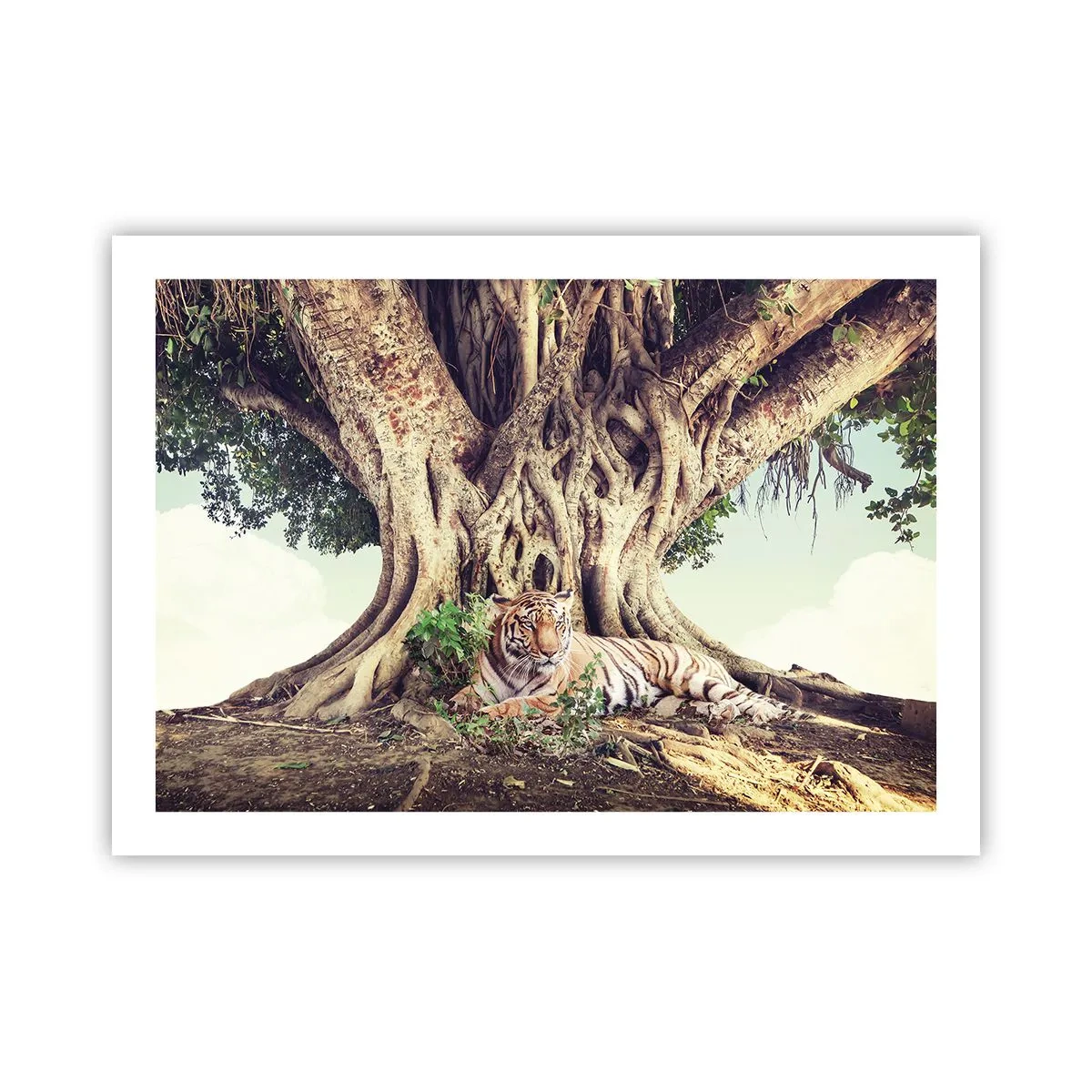 Affiche - Poster - Vue du Livre de la Genèse - 70x50 cm