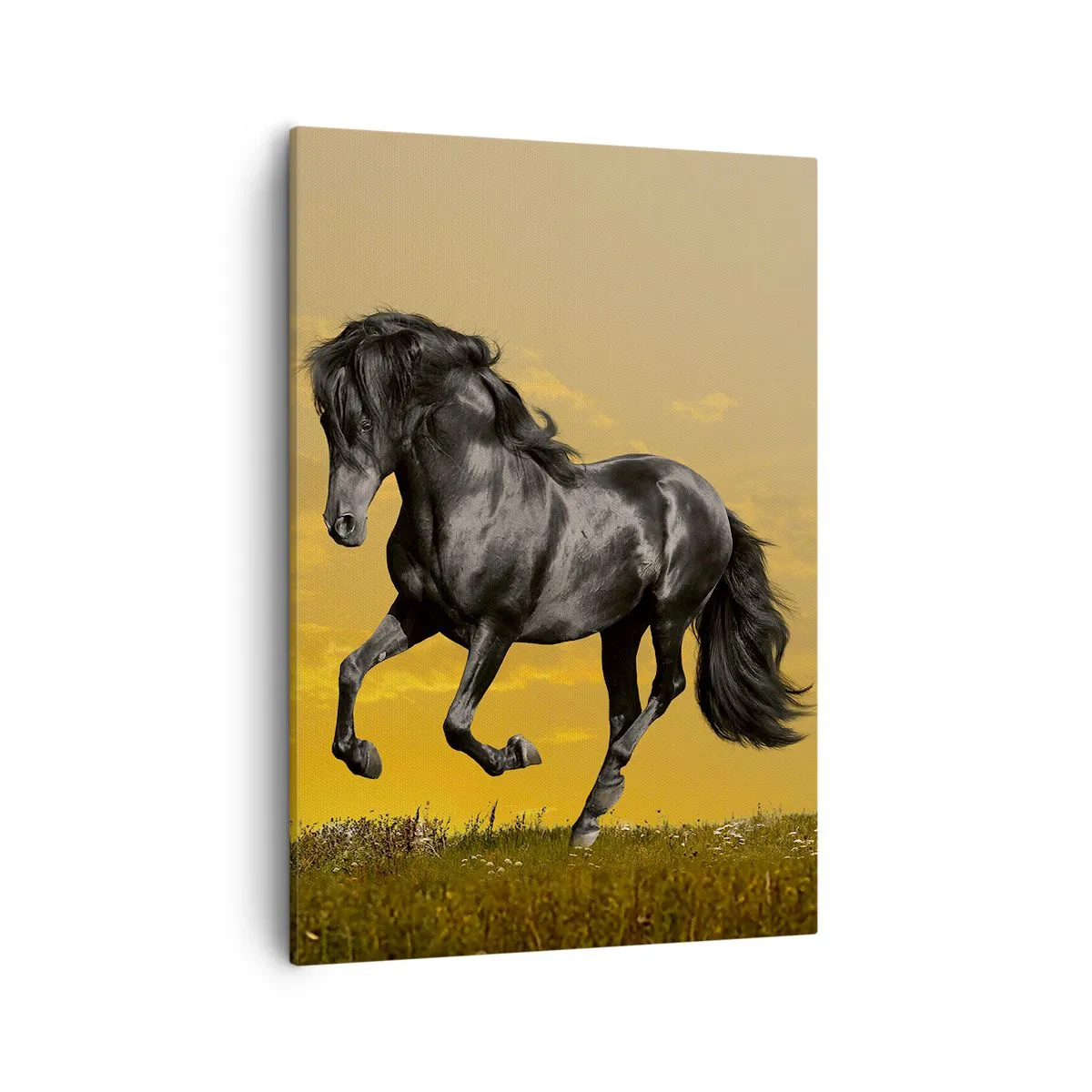 Impression sur toile - Image sur toile - Un cheval noir galope sur fond de coucher de soleil doré. - 50x70cm - Beau, libre et sauvage - Décoration murale moderne pour le salon et la chambre ARTTOR
