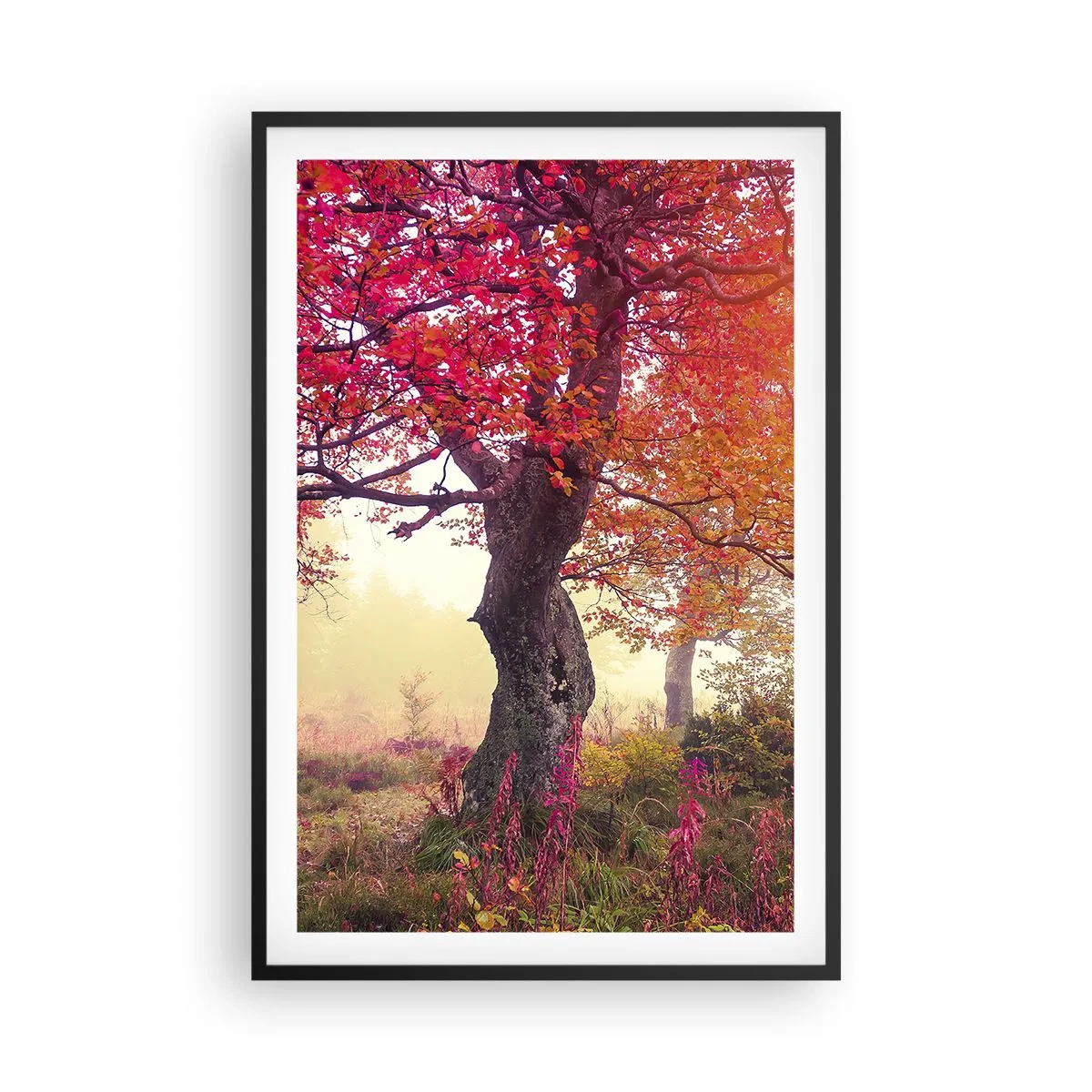 Affiche dans un cadre noir - Poster - Frénésie de floraison - 61x91 cm