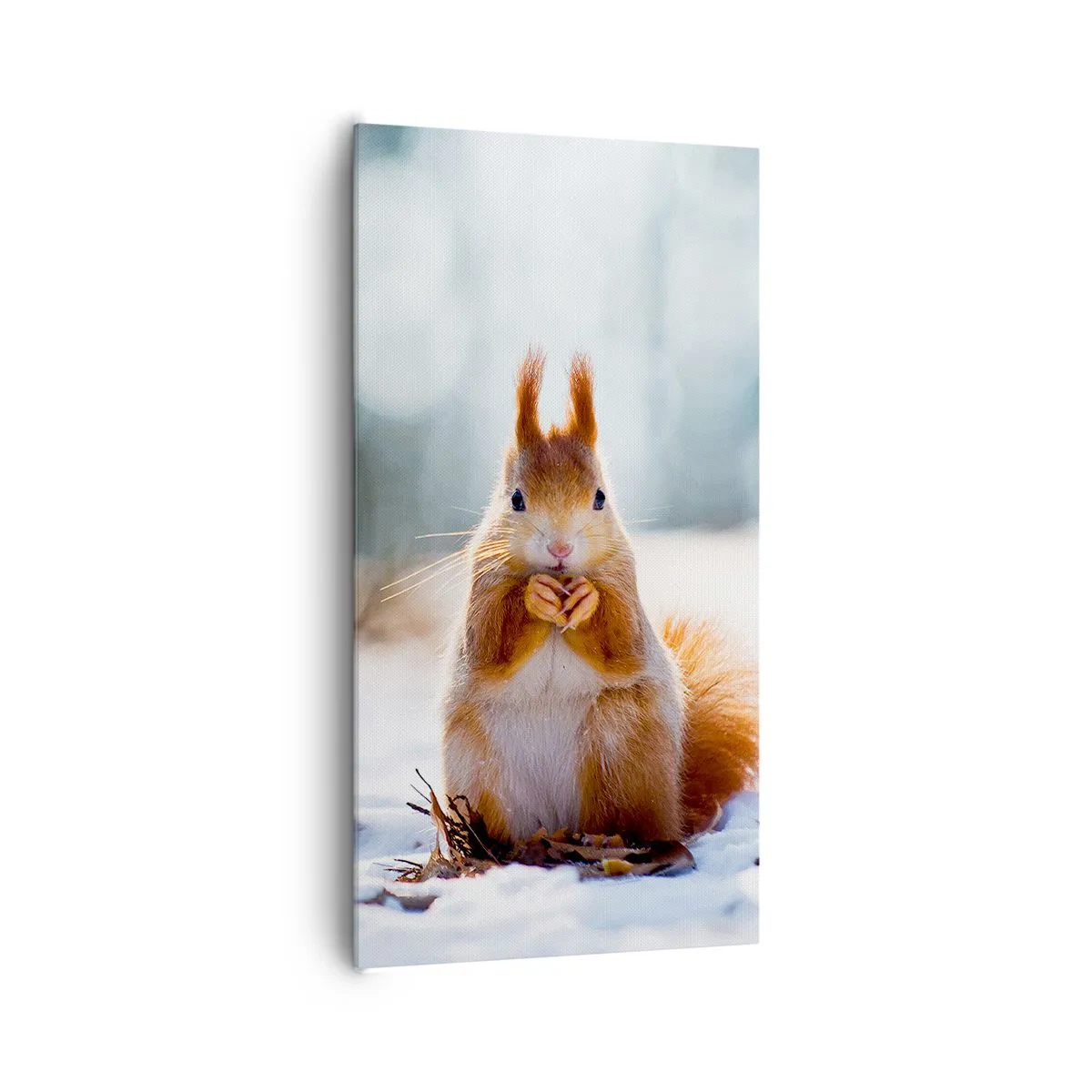 Impression sur toile - Image sur toile - Qu'est ce que tu regardes comme ça? - 65x120 cm