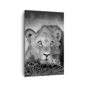 Impression sur toile - Image sur toile - Portrait monochrome d'un jeune lion couché - 80x120cm - Chiot royal - Décoration murale moderne pour le salon et la chambre ARTTOR
