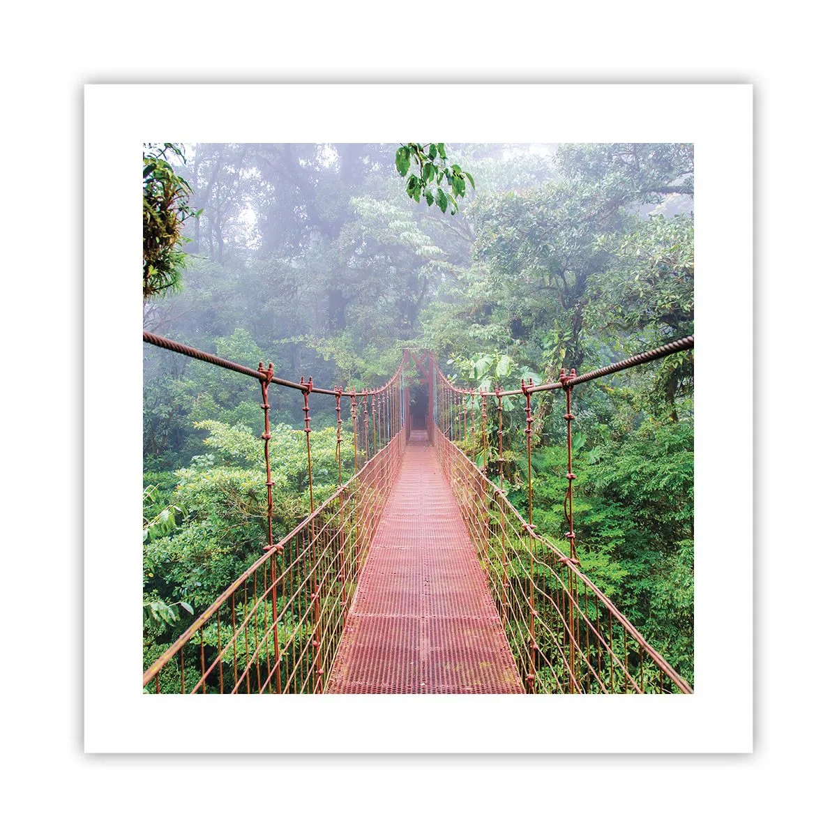 Affiche - Poster - Suspendu sur les couronnes - 40x40 cm