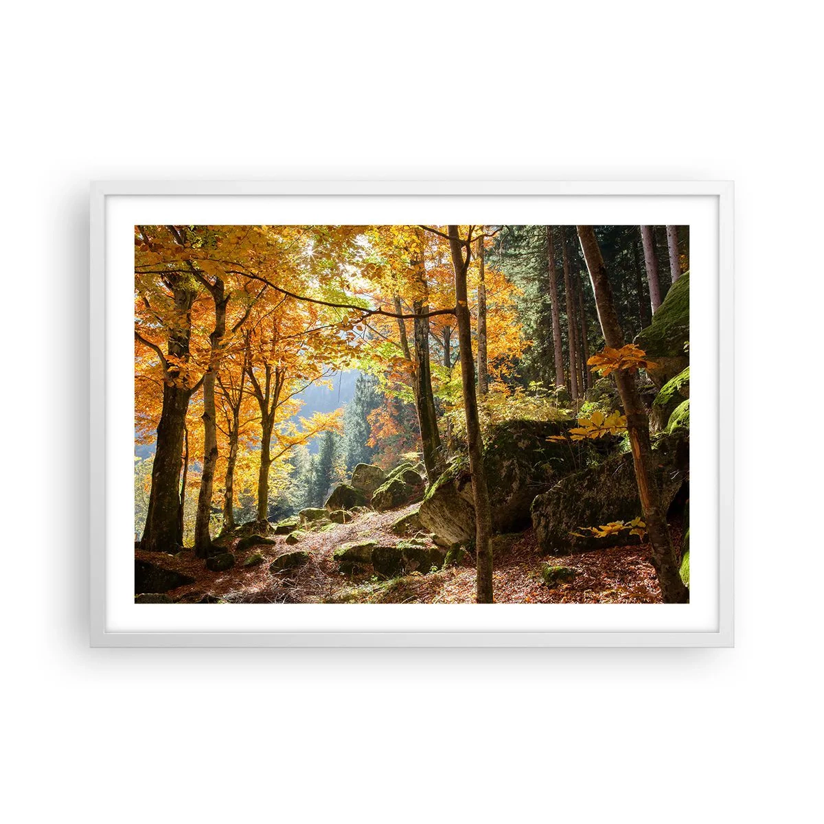 Affiche dans un cadre blanc - Poster - Il est temps de se détendre - 70x50 cm