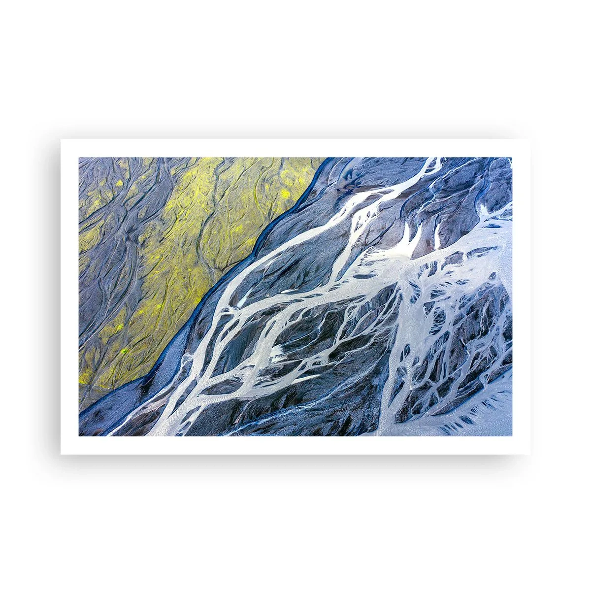 Affiche - Poster - Peintures rupestres de la nature - 91x61 cm