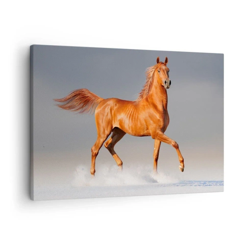 Impression sur toile - Image sur toile - Un cheval au galop contre un ciel bleu - 70x50cm - La grâce dansante - Décoration murale moderne pour le salon et la chambre ARTTOR