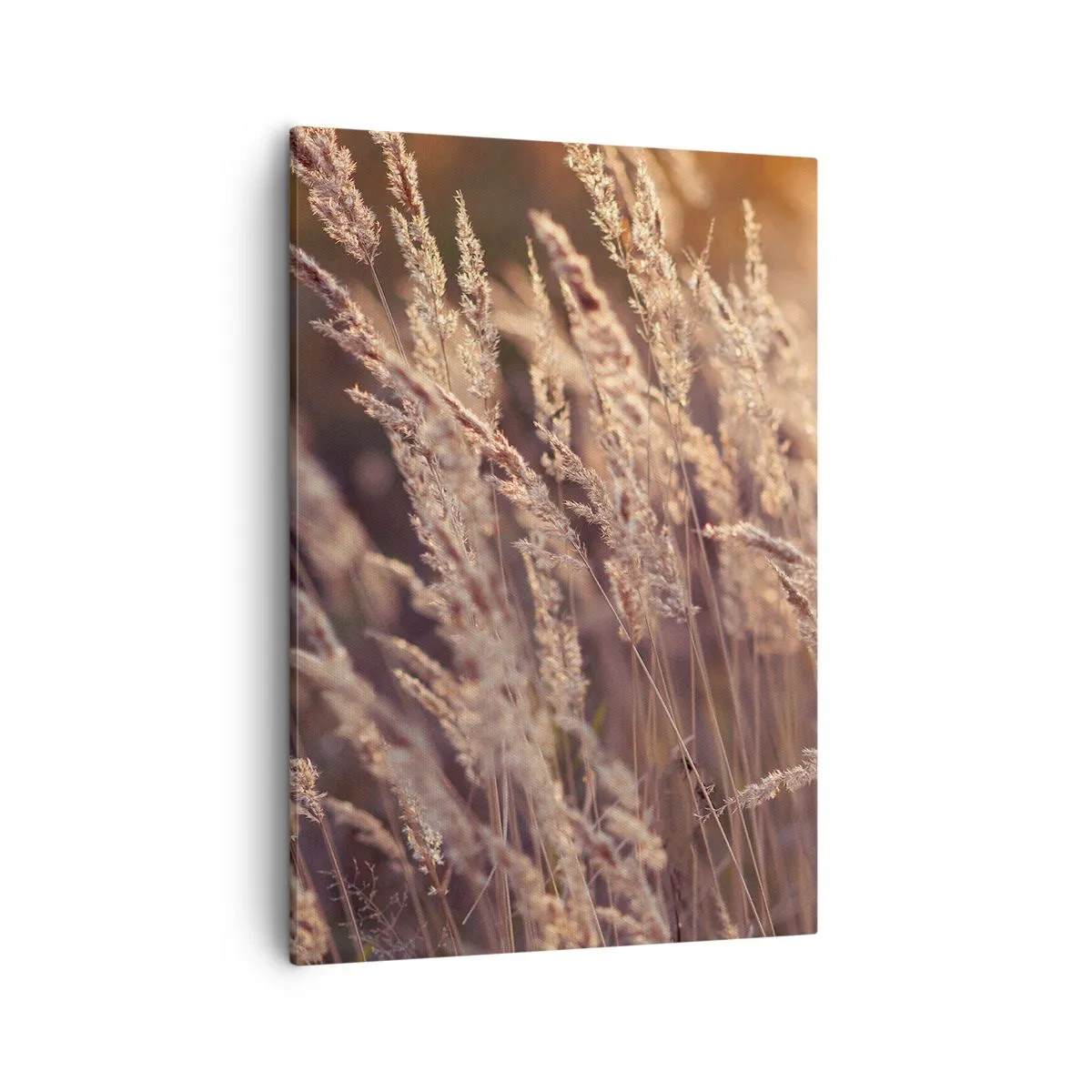 Impression sur toile - Image sur toile - Herbes dorées sur fond de soleil couchant - 50x70cm - Prêt à accueillir l'automne - Décoration murale moderne pour le salon et la chambre ARTTOR