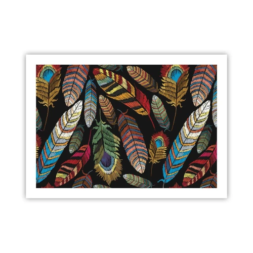 Affiche - Poster - Le carnaval des oiseaux - 70x50 cm