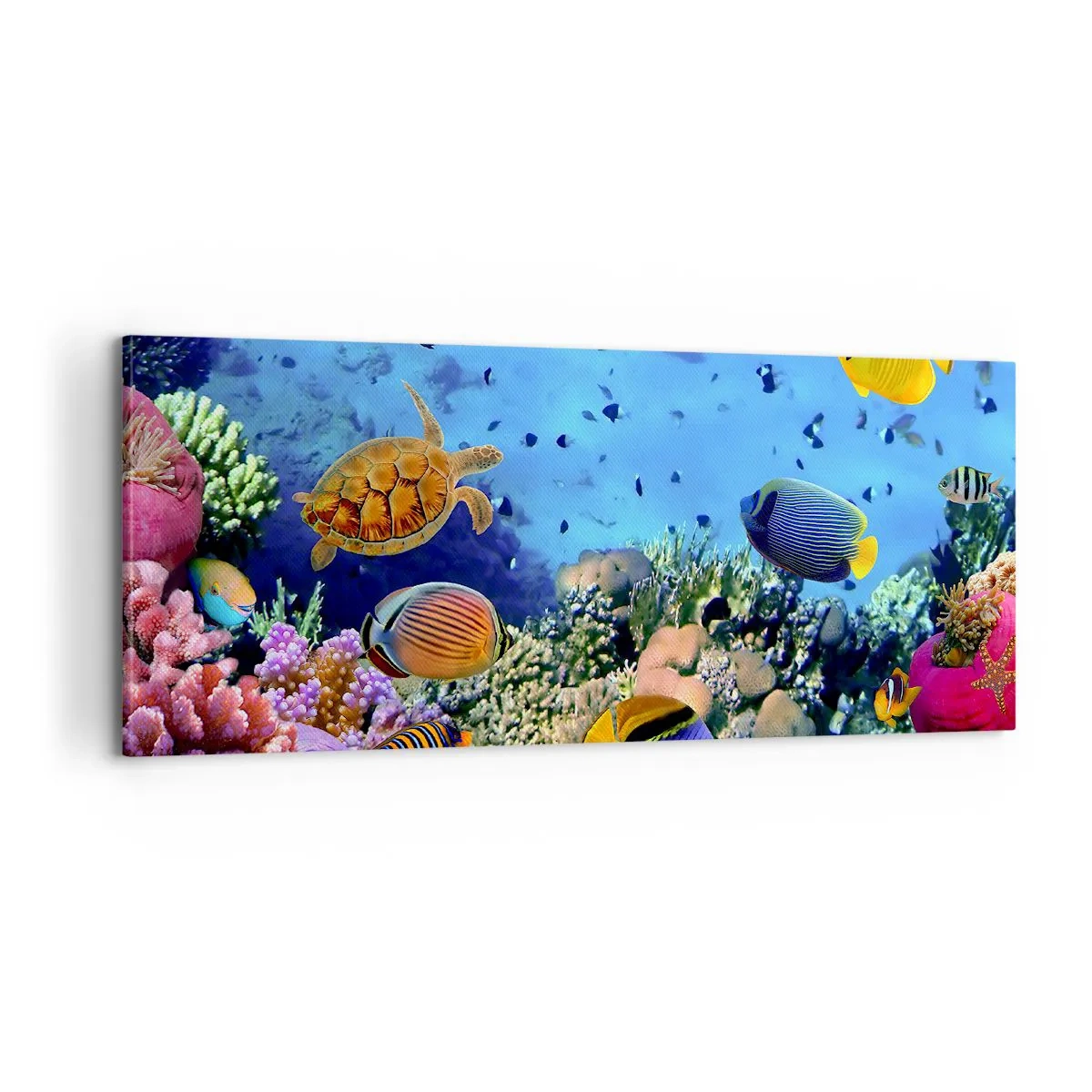 Impression sur toile - Image sur toile - Et que sait-on de la vie… - 100x40 cm
