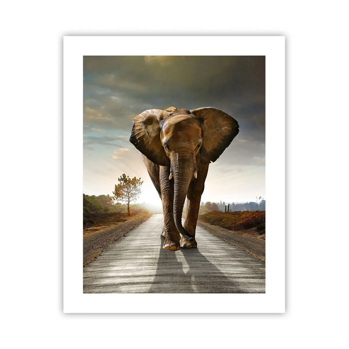 Affiche - Poster - Et pas du tout en porcelaine - 40x50 cm