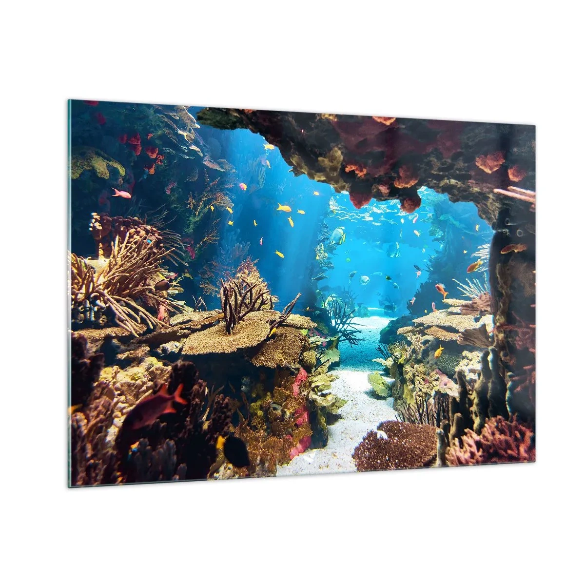 Impression sur verre - Image sur verre - Monde sous-marin avec récif corallien et poissons - 100x70cm - Tu ne l'as même pas rêvé - Décoration murale moderne pour le salon et la chambre ARTTOR