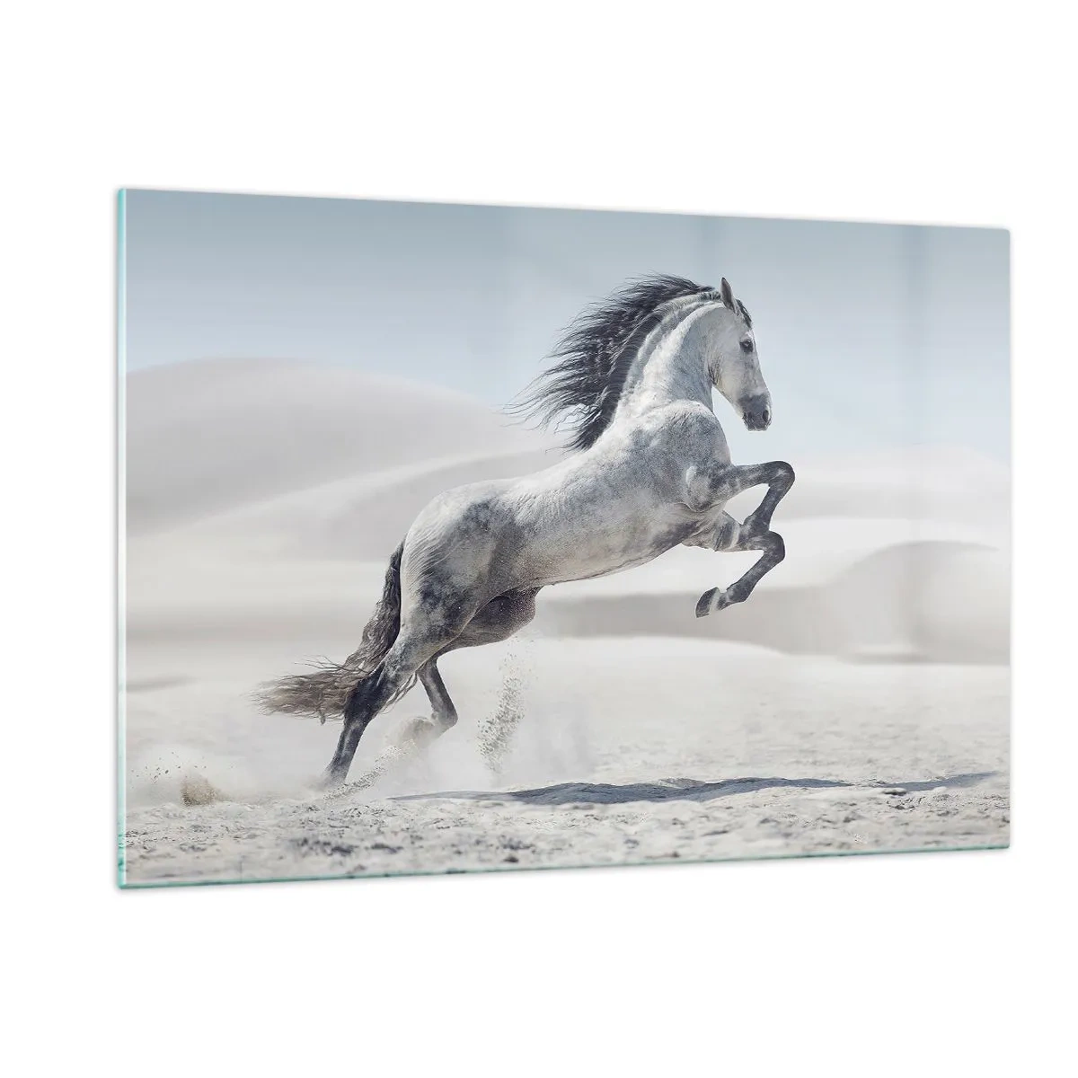 Impression sur verre - Image sur verre - Un cheval blanc bondissant sur fond de dunes du désert - 120x80cm - Prince arabe - Décoration murale moderne pour le salon et la chambre ARTTOR