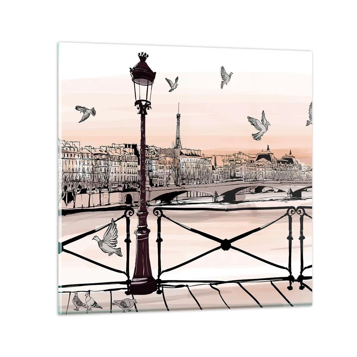 Impression sur verre - Image sur verre - Sur les toits de Paris - 40x40 cm