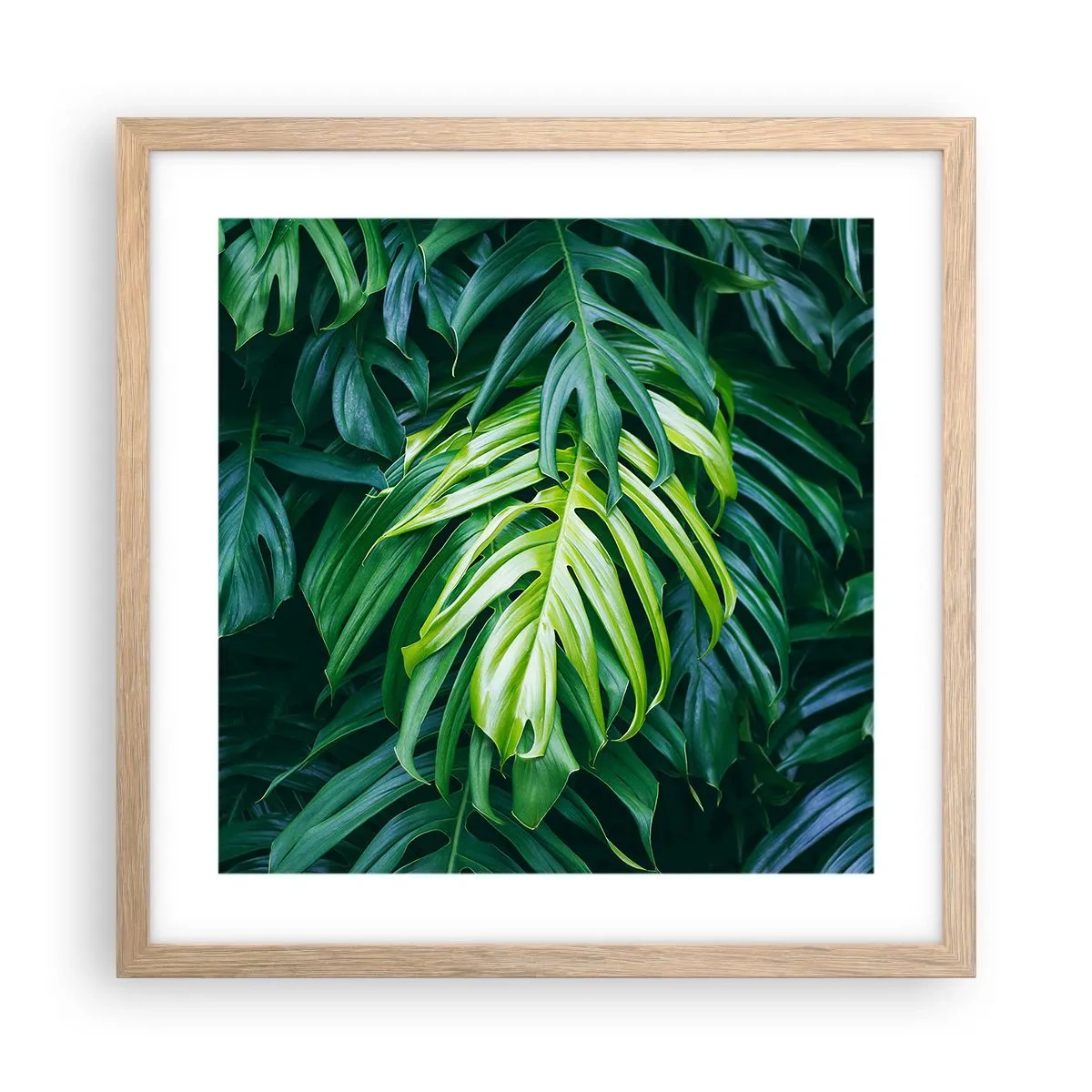 Affiche dans un chêne clair - Poster - Immergez-vous dans la fraîcheur - 40x40 cm