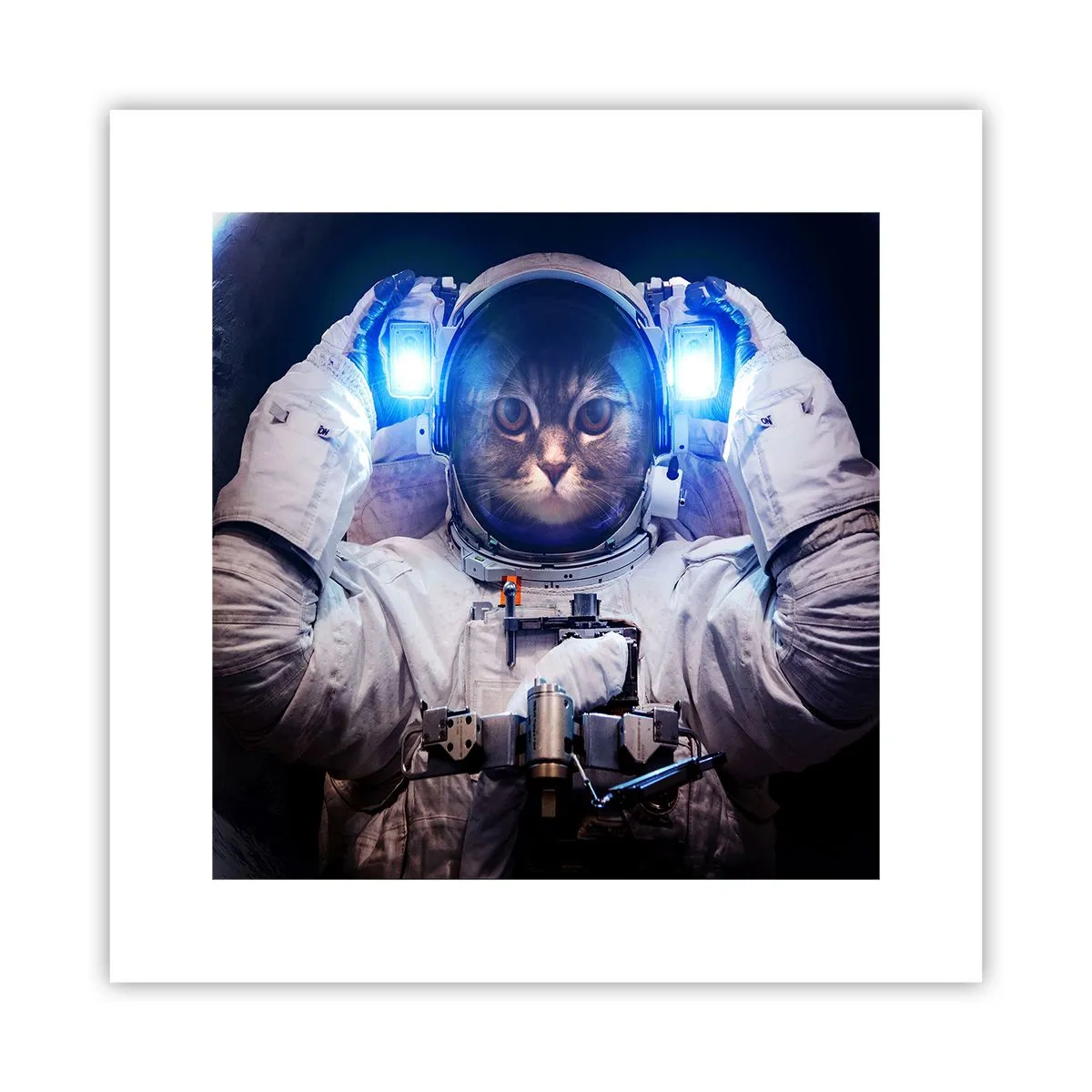 Affiche - Poster - Houston, vous avez un problème - 30x30 cm