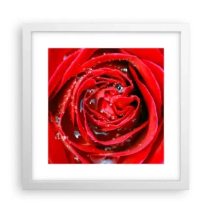 Affiche dans un cadre blanc - Poster - Dans les gouttes de rosée - 30x30 cm